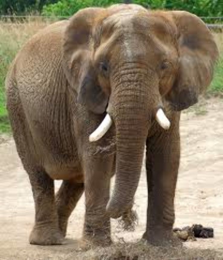 Indianapolis Zoo in indianapolis United States Of America - reviews ...